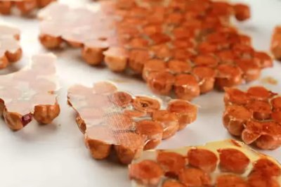 Northern Living - Here is a simple tasty and low cost recipe for Hazulnut Brittle